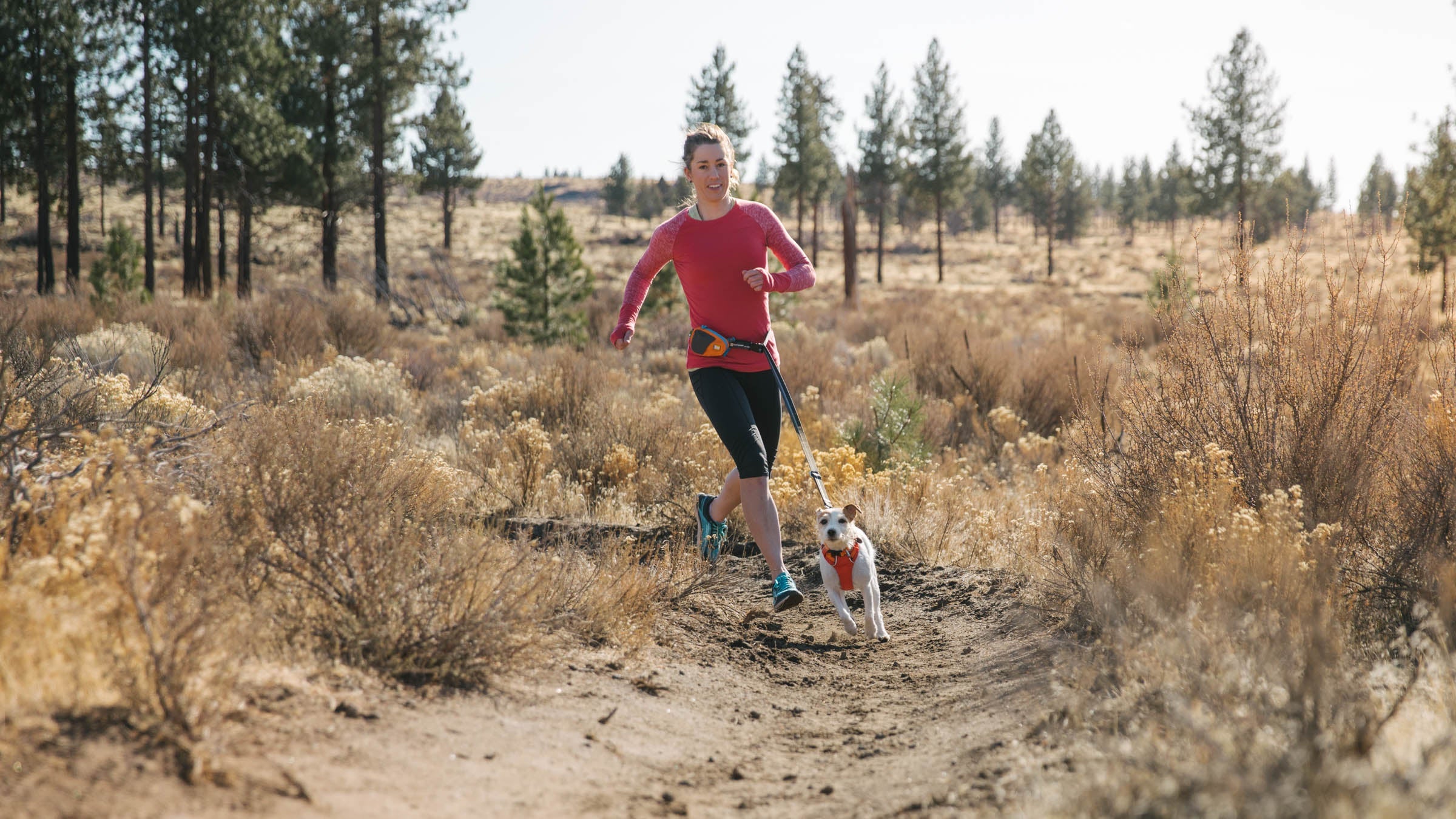 Woman and dog running with dog running gear