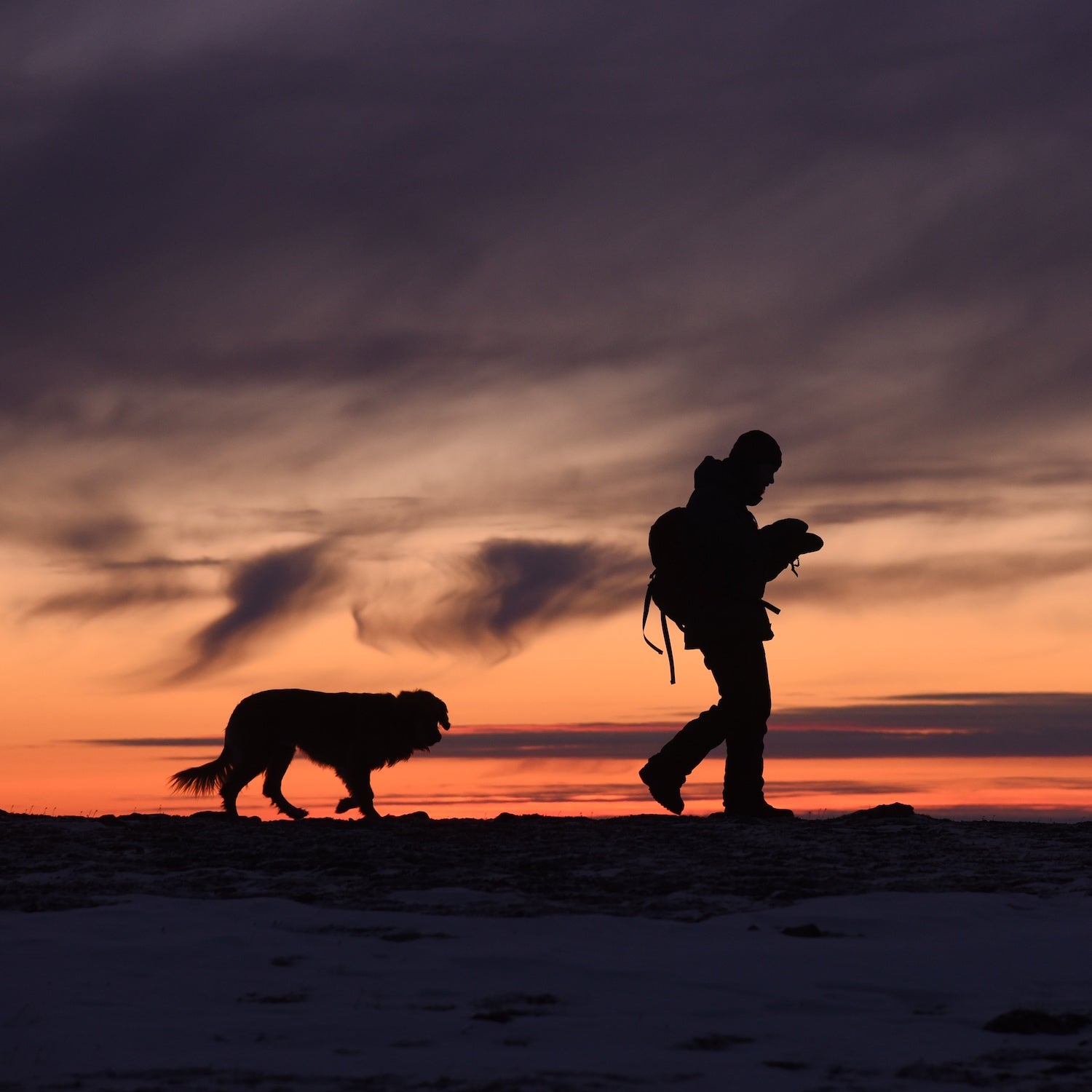 dog and hiker in sunset