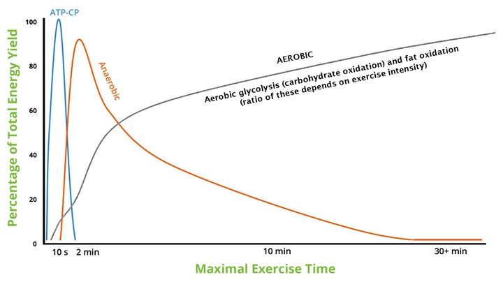 Event duration and energy source during maximal-effort exercise