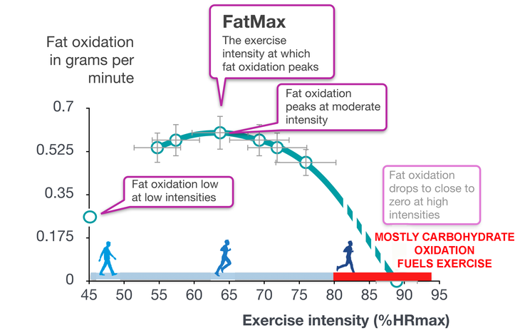 Fueling strategies for long races