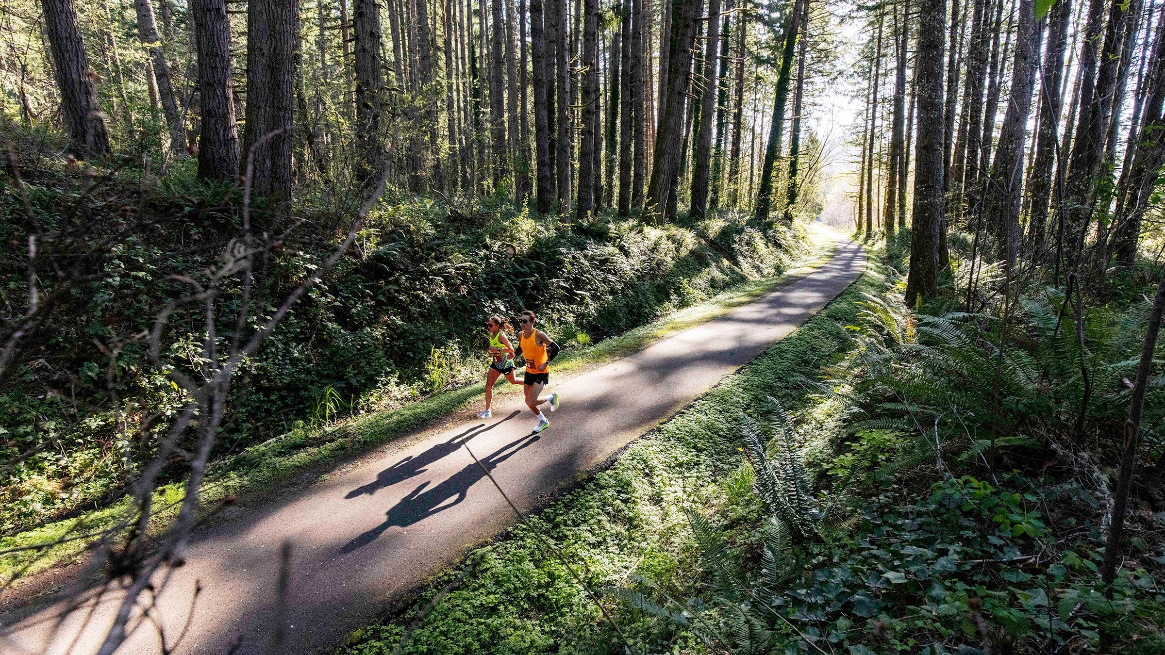 Des Linden 50K forest path