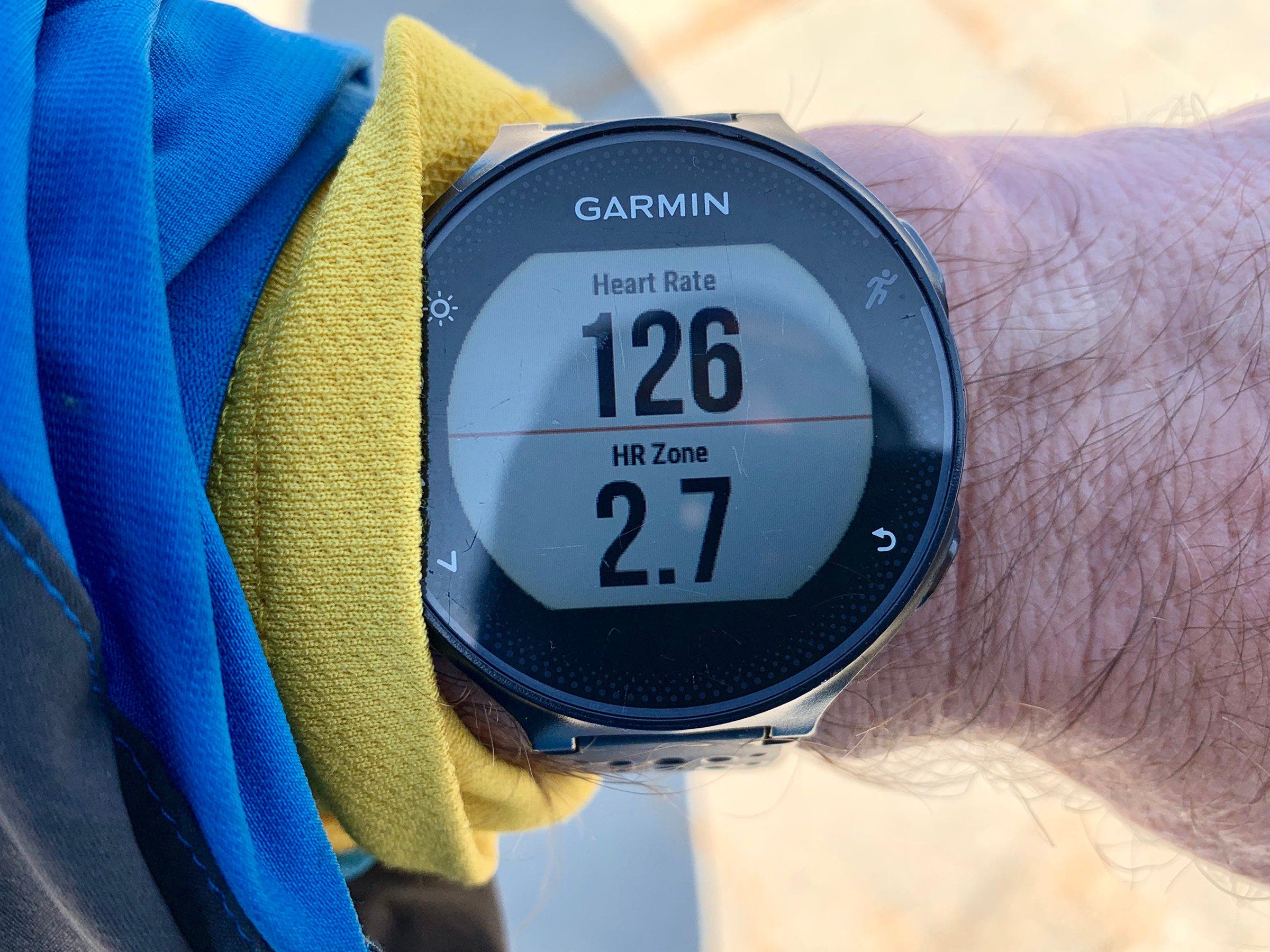 heart rate and zones on watch