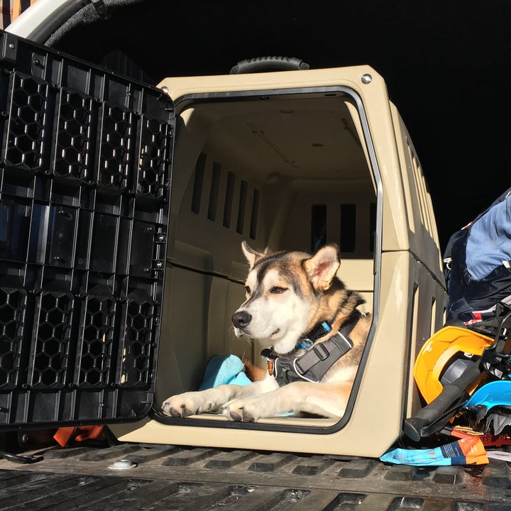 gunner dog kennel