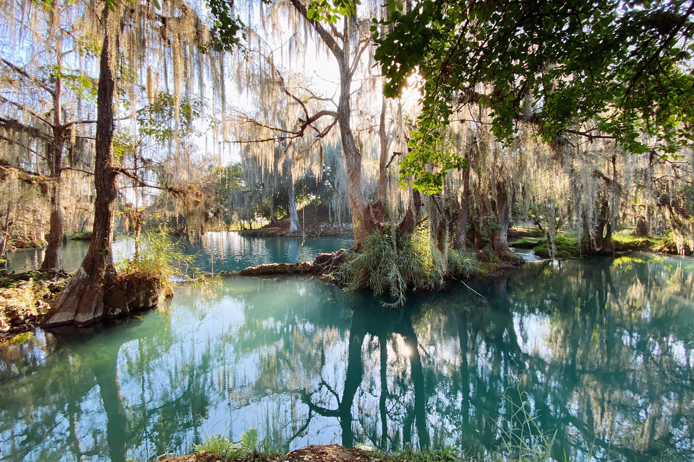 The jungles of Huasteca Potosina