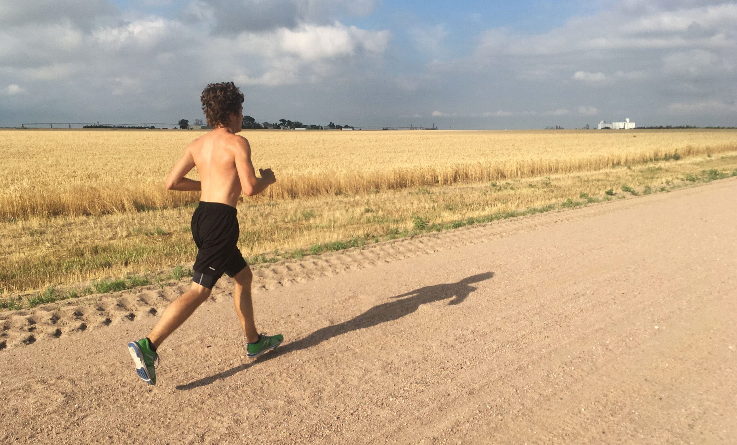 lone male long run high plains wheat field