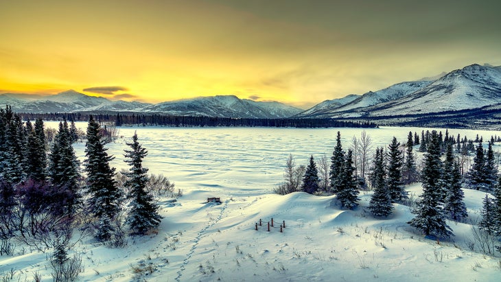 travel in snow shoes