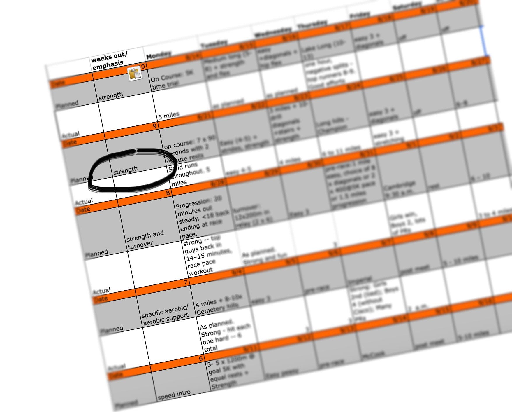 periodization spreadsheet