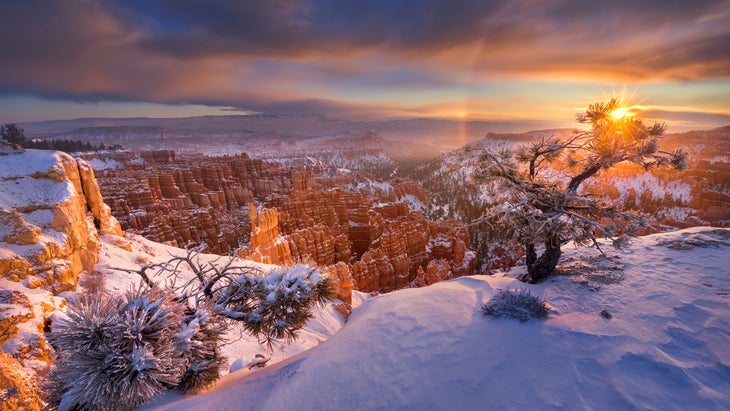 travel in snow shoes