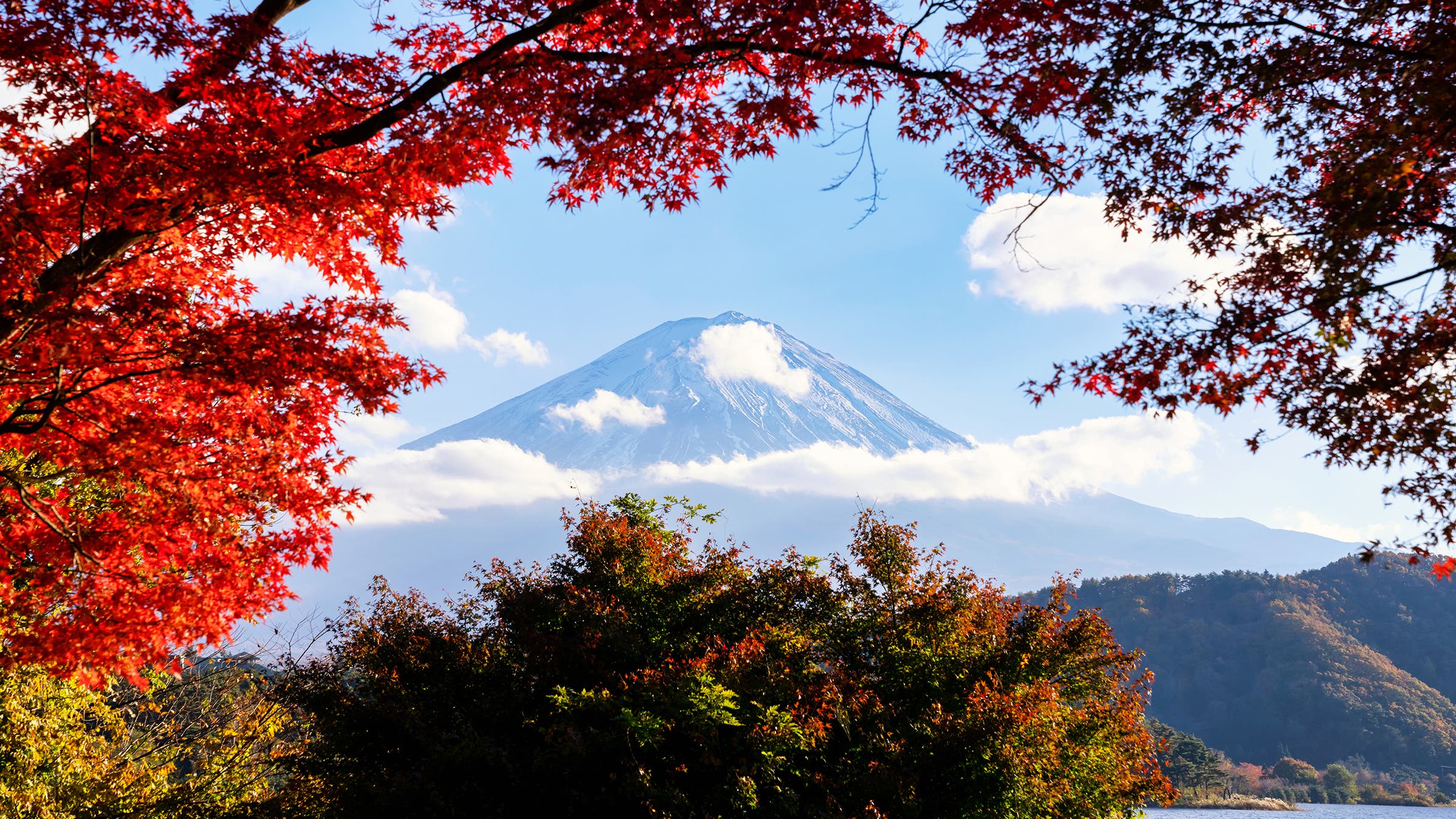 a peak in the distance behind fall colored leaves