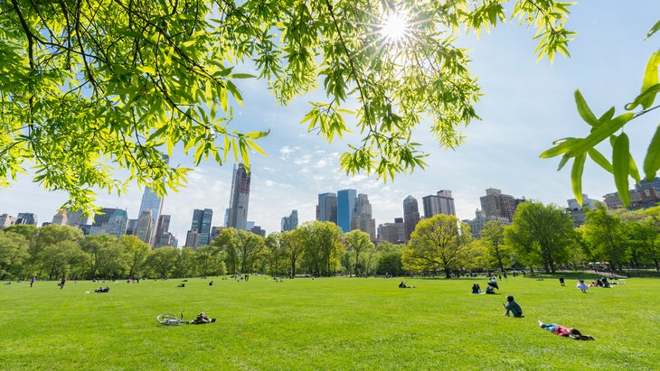 People relax on the Sheep Meadow, which is surrounded by fresh green trees in the spring at Central Park New York