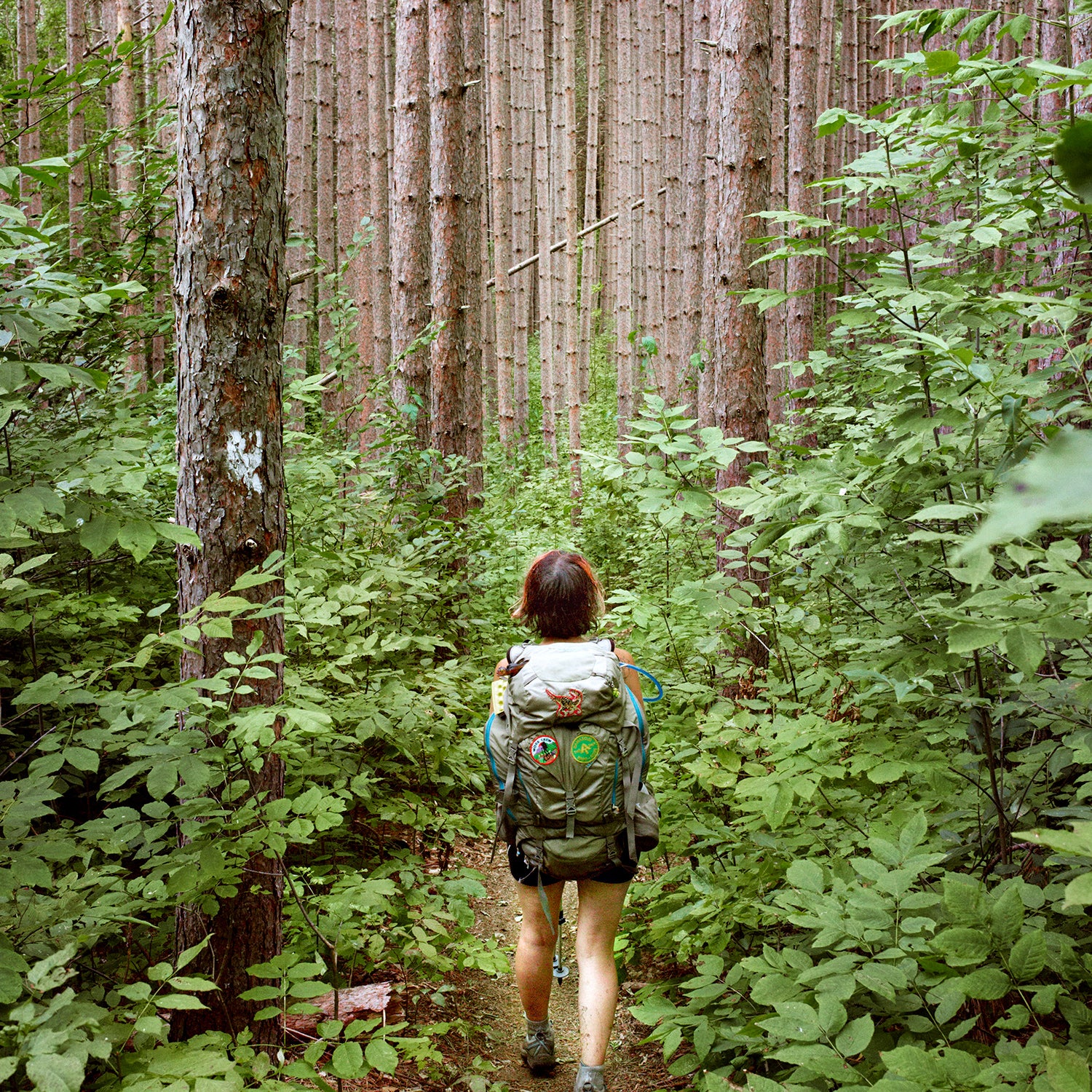 This Is What Happens to Your Body on a Thru-Hike