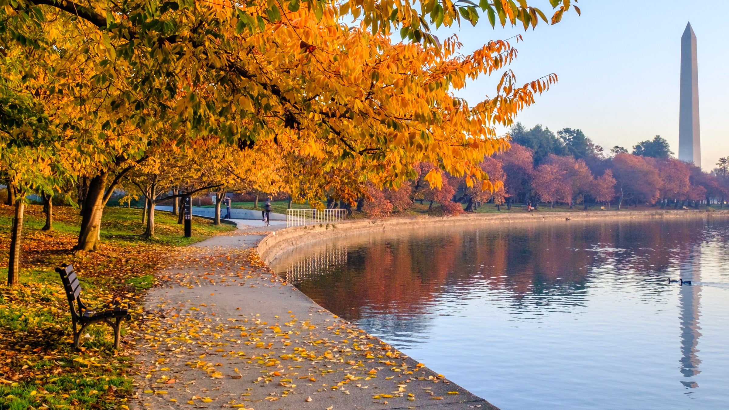 Tidal Basin in Washington, D.C., on a fall morning