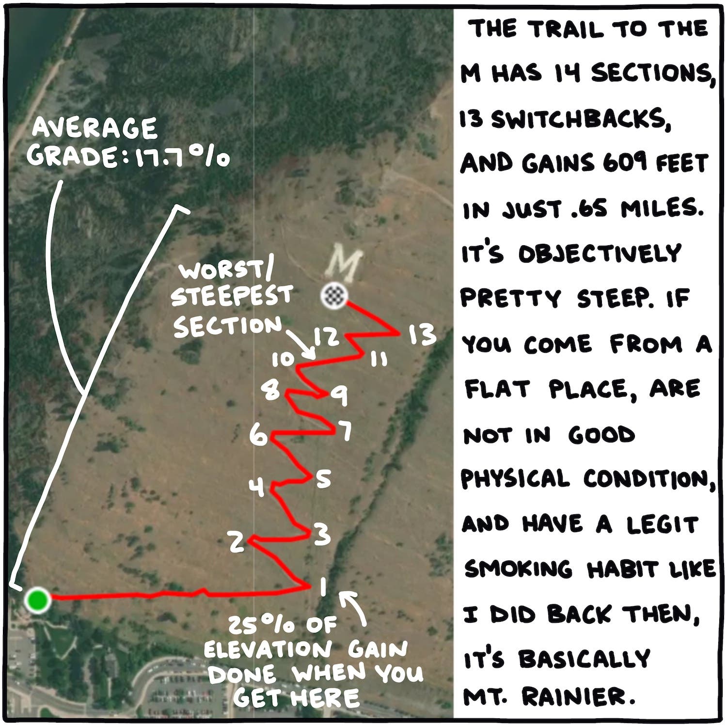 The trail to the M has 14 sections, 13 switchbacks, and gains 609 feet in just .65 miles. It's objectively pretty steep. If you come from a flat place, are not in good physical condition, and have a legit smoking habit like I did back then, it's basically Mt. Rainier.
