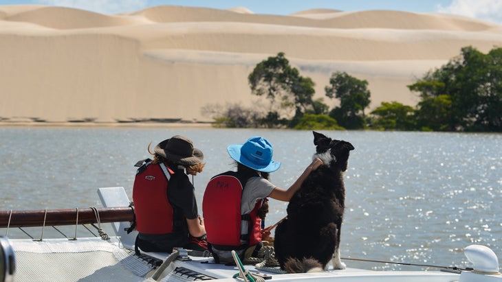 The author’s family and dog gaze into the distance