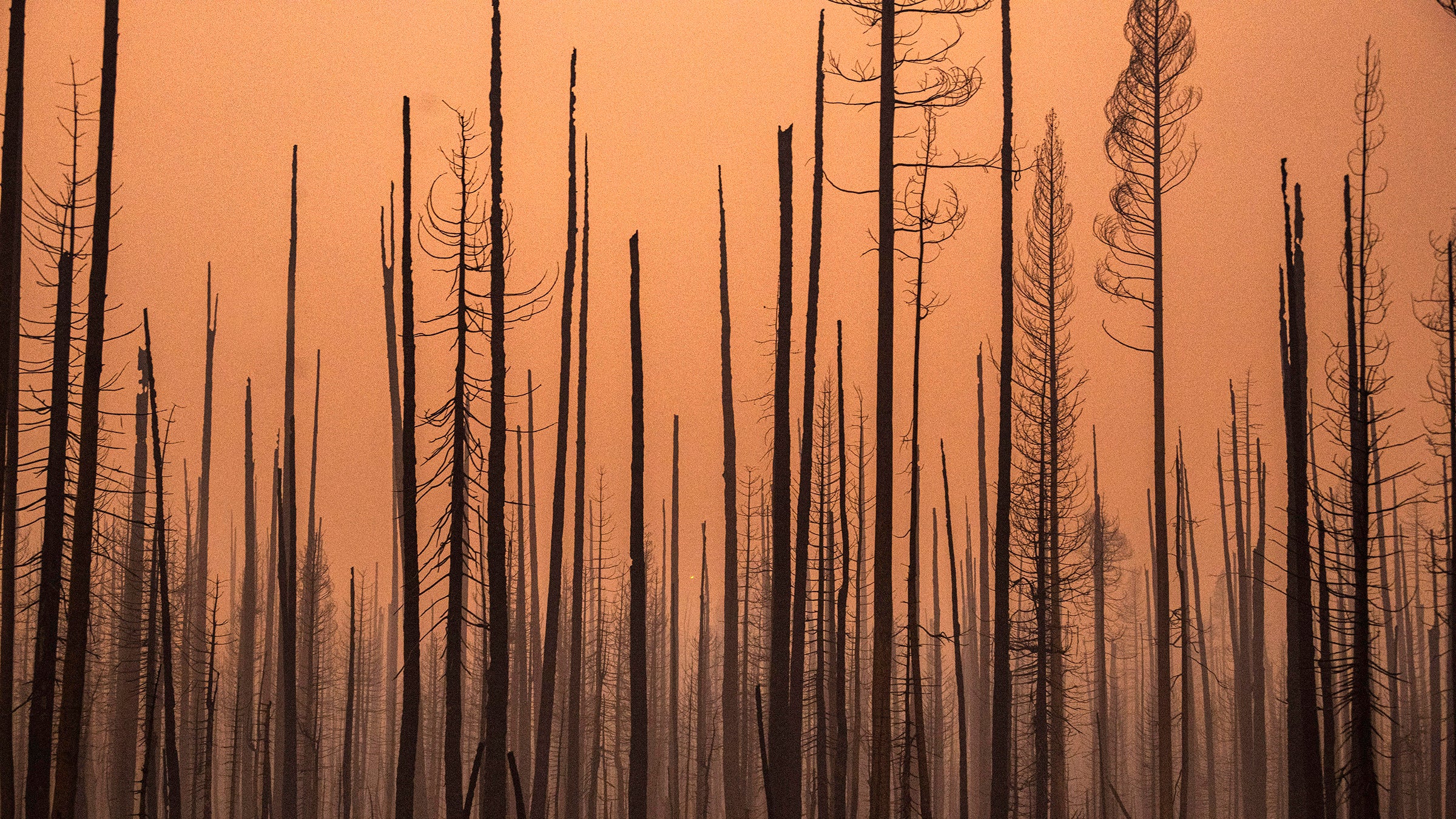The Creek Fire burning California’s Sierra National Forest  