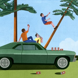 Tree riding illustration