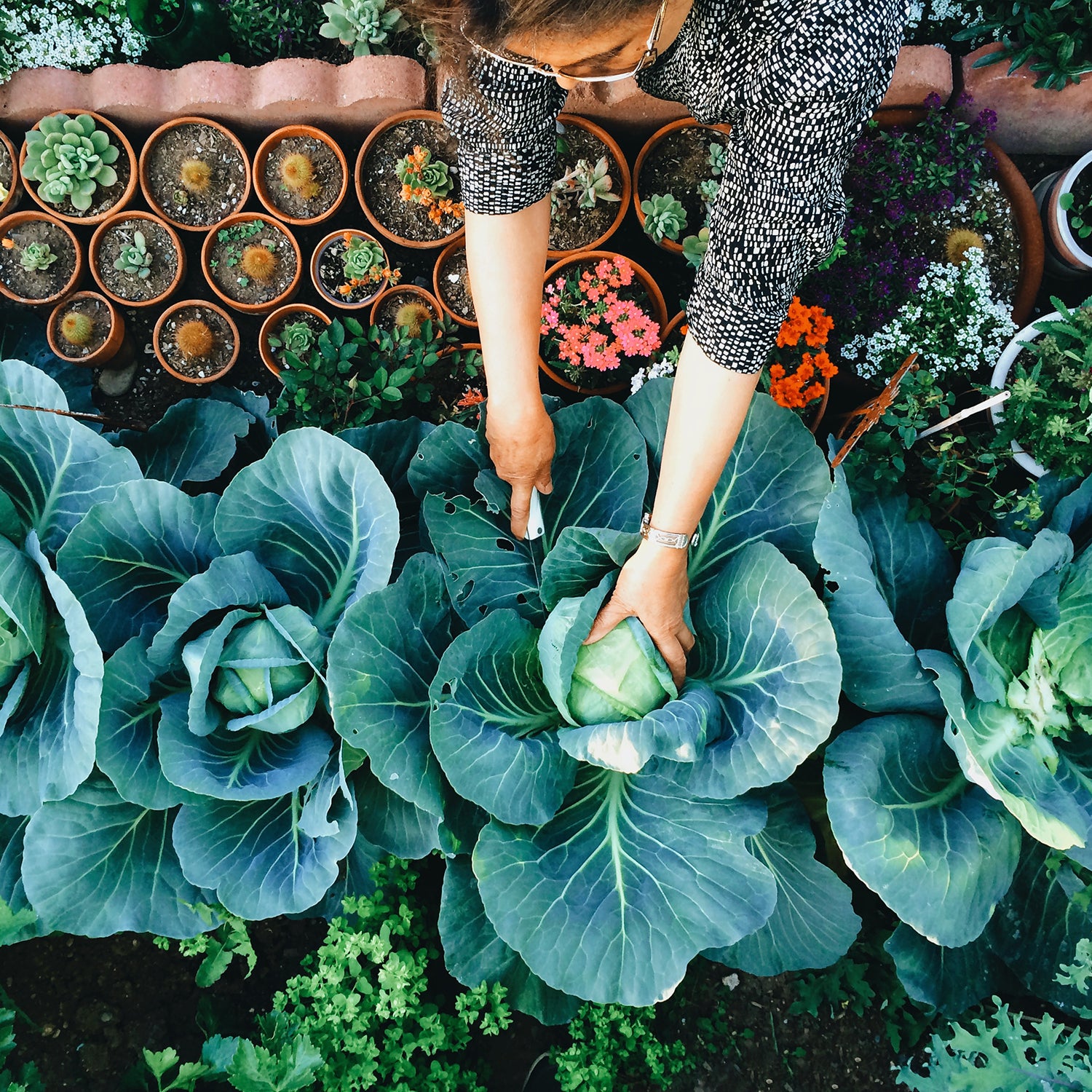 Woman working in vegetable garden