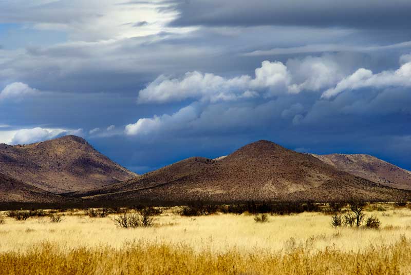 New Mexico Gets a New OREC Office with a Diverse Twist