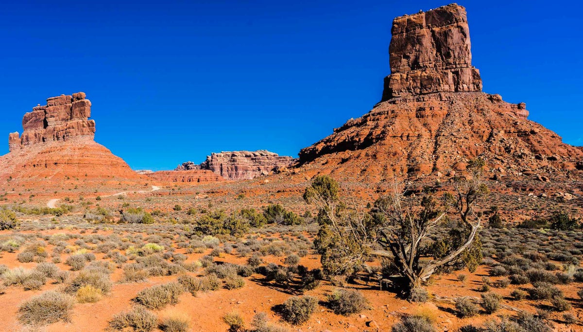Patagonia, REI, The North Face, and Others Say They Won’t Attend Outdoor Retailer if It Moves to Utah