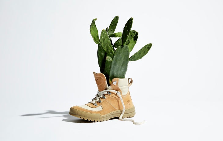 Boot with cactus inside