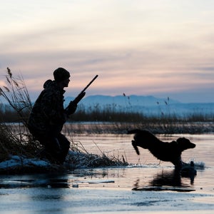 Man hunting with dog at twilight