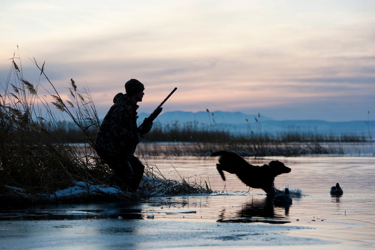 The Hunting and Fishing Industry's Struggle to Diversify