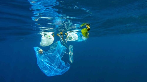 Plastic bags floating in water