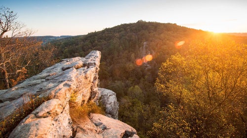 Sun rising in the Maryland wilderness