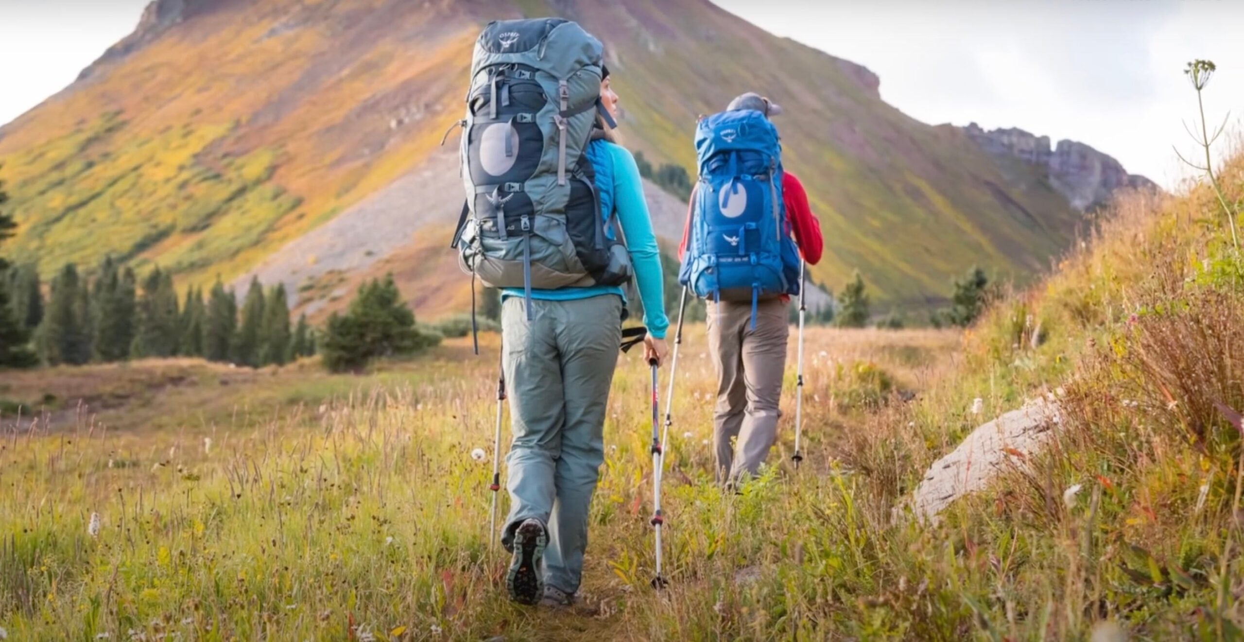 Osprey hiking backpack clearance sale