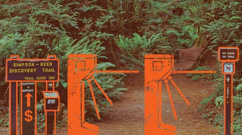 Backpack tax illustration