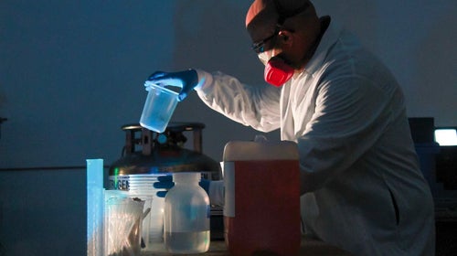 Scientist working in a lab