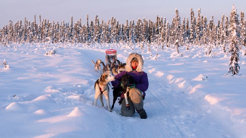 Apayauq Reitan with her dogsled team