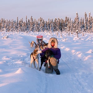 Apayauq Reitan with her dogsled team