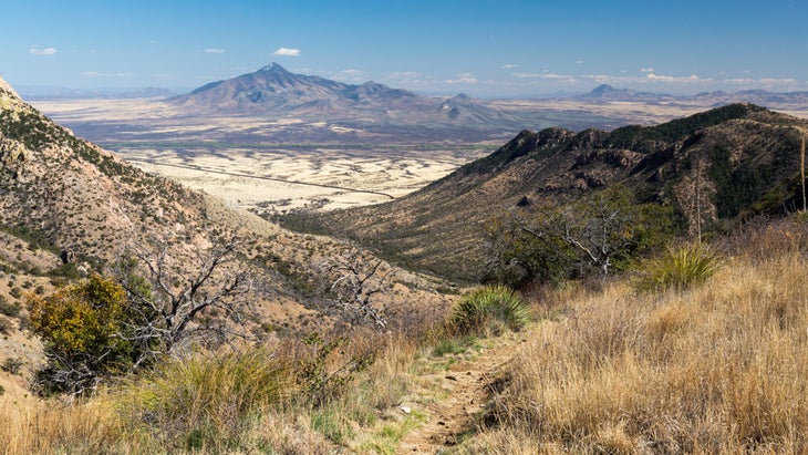 The Crest Trail descending the southern foothills of the Huachuca Mountains through Sonoran Desert grasslands. Coronado National Memorial, Arizona