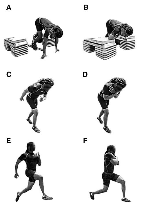 Arm Swings  Illustrated Exercise Guide