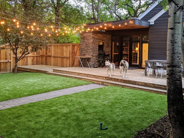 Pet-Friendly Artificial Grass