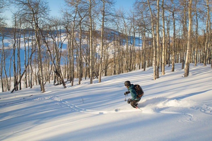 A backcountry skier turns through deep powder with trees and mountains in the background.