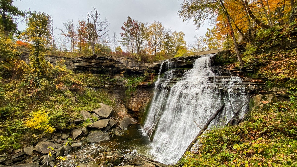 Hike the Brandywine Gorge Loop (U.S. National Park Service)