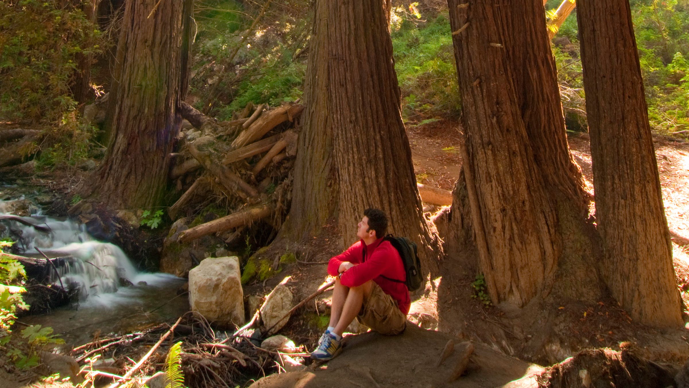 Hiking in Julie Phieffer Burns State Park, Big Sur, Monterey County, California