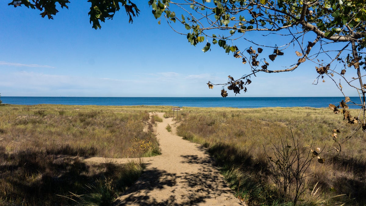 It’s Time to Plan Your Summer Visit to Indiana Dunes