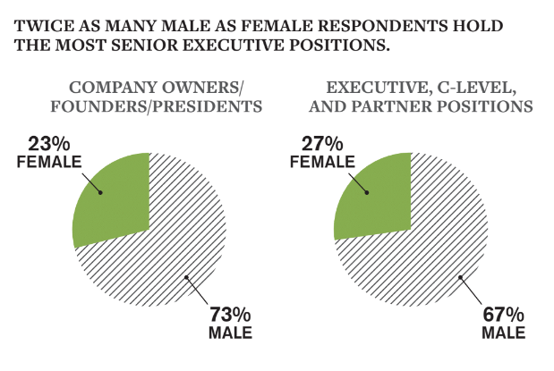 gender gap pie chart