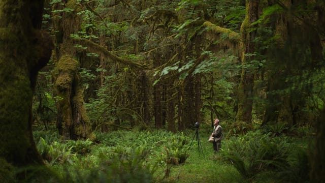 Shh. These Are the Quietest Parks in America.