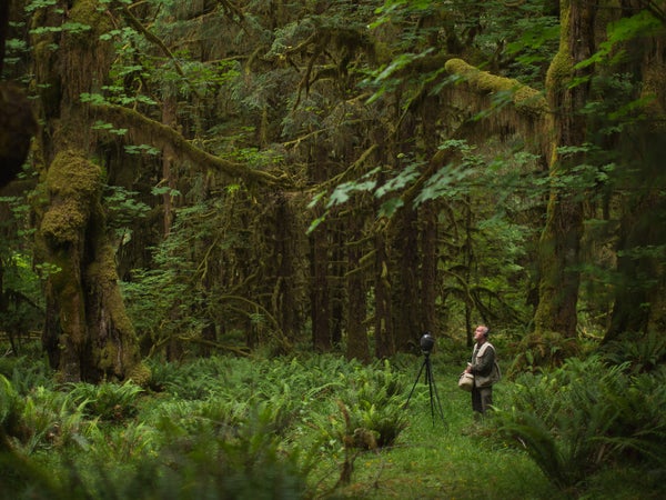 Gordon Hempton recording in the Hoh rainforest