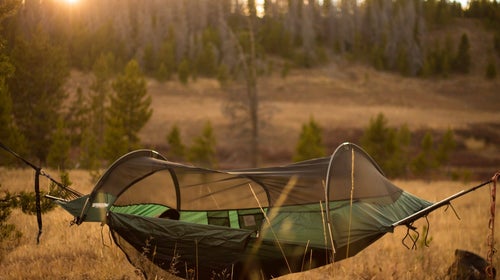green hammock with a net on top
