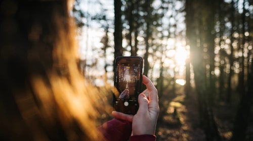 man holding a phone camera among trees