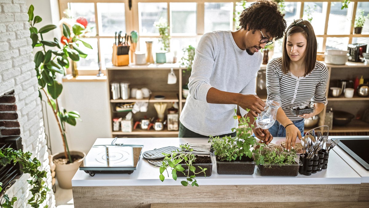 How to Grow an Easy Kitchen Garden