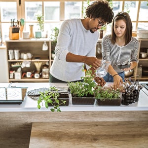 couple taking care and watering kitchen herbs at their apartment