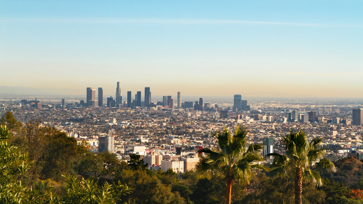 How Los Angeles Is Leading the Urban Tree-Planting Revolution