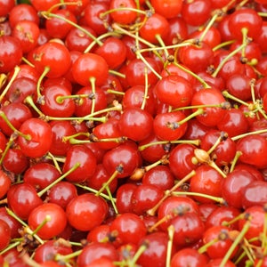 Montmorency cherries at a market