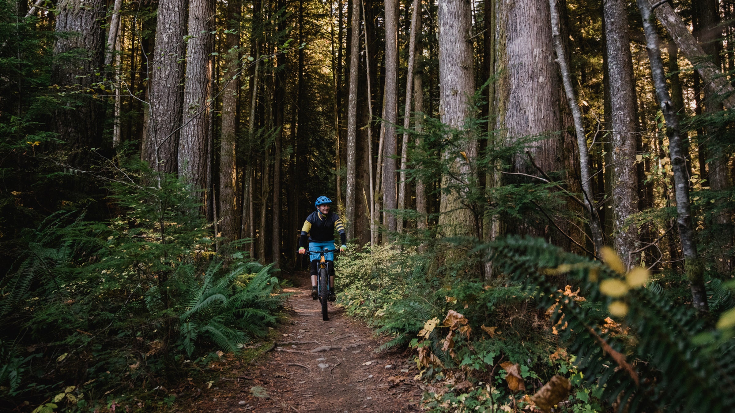 Mountain biker in the forest with fall leaves.
